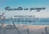 Fridays For Future Ravenna: domenica 27, pulizia spiagge Lido Adriano
