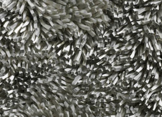 MAR, Ravenna: CaCO3. Monocromo, presentazione del catalogo in conversazione con gli artisti