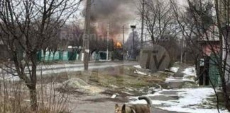 Ucraina: Federazione associazioni diritti animali contro il divieto di introdurre randagi in Italia