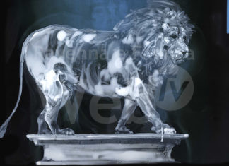 “In anima”, i dipinti di Massimo Pulini al Mercato Coperto di Ravenna