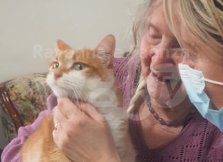 Una casa famiglia per anziani adotta una gatta randagia