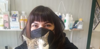 Enpa: Cotignola, ritrova la sua gatta dopo due anni