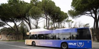 In circolazione i bus con la livrea del decennale di Start Romagna
