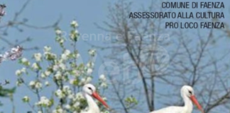 Pro Loco Faenza: Calendario delle visite guidate di primavera 2022