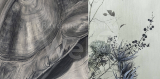 Faenza: Alla Galleria d’Arte della Molinella una personale di Nedo Merendi