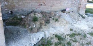 Ercolani (Lega): Degrado al cimitero di Massa Castello