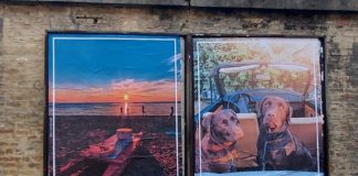 Via Zirardini, da oggi la mostra di manifesti dedicati ai 9 Lidi di Ravenna