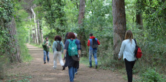 Querce di Dante 2.0 per vivere un’immersione nella Commedia di Dante, un nuovo percorso nella Pineta di Classe