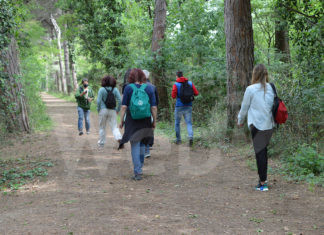 Querce di Dante 2.0 per vivere un’immersione nella Commedia di Dante, un nuovo percorso nella Pineta di Classe