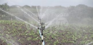 Agricoltura. Problema carenza d’acqua, dalla Regione 7milioni di euro per realizzare invasi e sistemi di distribuzione