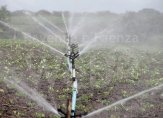 Agricoltura. Problema carenza d’acqua, dalla Regione 7milioni di euro per realizzare invasi e sistemi di distribuzione
