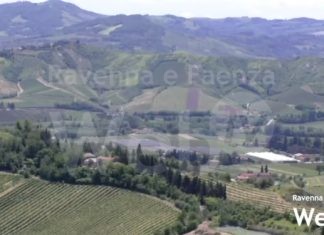 232 ettari all’asta con la Banca nazionale delle Terre Agricole per agevolare i giovani agricoltori | VIDEO