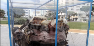 Concerto a Ravenna per le vittime innocenti della mafia | VIDEO