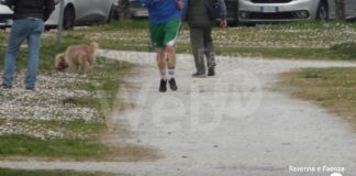 Bocconi sospetti al parco “Carlo Urbani”: si attendono i risultati delle analisi | VIDEO