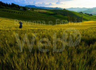 Cultura e Paesaggio. Immagini dalle campagne di Faenza, Lugo, Bagnacavallo per raccontare l’Emilia Romagna rurale