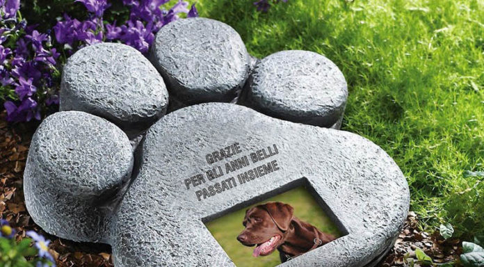 come-seppellire-il-cane