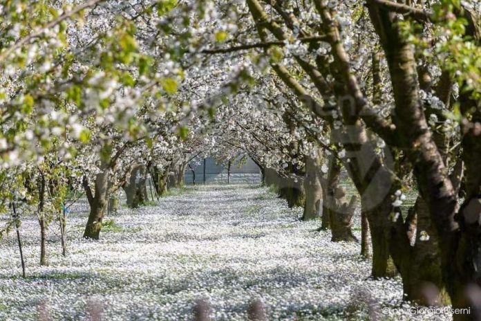 facebook_1648534212542_6914453641803074830