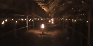 Termometri a -8°C. Giorni difficili per l’agricoltura | VIDEO