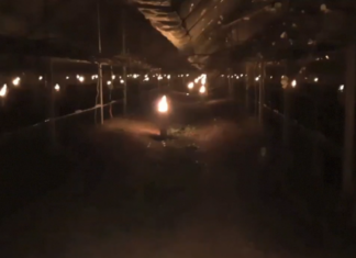 Termometri a -8°C. Giorni difficili per l’agricoltura | VIDEO