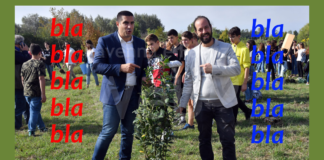 Ravenna in Comune: Cementificazione, quanto manca al mea culpa del sindaco?