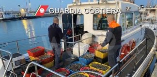 Pesca abusiva: sequestrati 700 kg di vongole e attrezzi da pesca vietati