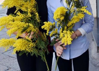 Lettera di una cittadina: “Ma perché, come al solito gli studenti, i giovani di Ravenna sono degli zombie!!!”