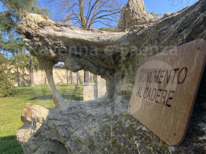 parco cappuccine sopralluogo 2022 II