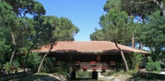 Cervia: Sabato 5 marzo riapre il Parco Naturale