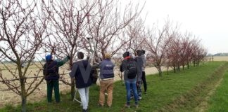 Villaggio del Fanciullo: gli studenti del “Perdisa” a scuola di potatura nell’Orto del Villaggio