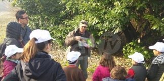 “Operazione occhio verde 2022”: tre giornate all’insegna della natura tra la pineta San Vitale e la Piallassa Baiona