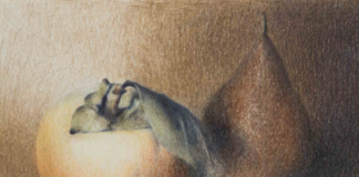 Brisighella: In mostra fino a maggio i “Disegni” di Luca Rotondi al Museo Ugonia