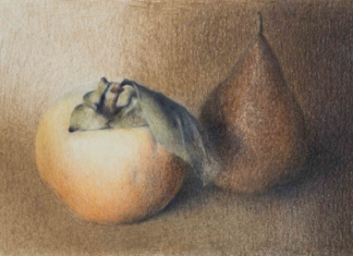 Brisighella: In mostra fino a maggio i “Disegni” di Luca Rotondi al Museo Ugonia