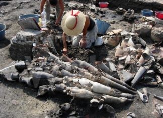Sguardi dal passato: mercoledì l’inaugurazione della mostra sulle attività di archeologia a Ravenna.