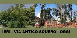 Ravenna in Comune: Riqualificazione o deforestazione della Darsena?