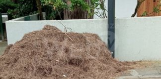 Comitato cittadino, Lidi Nord: Replica alle dichiarazioni di Hera