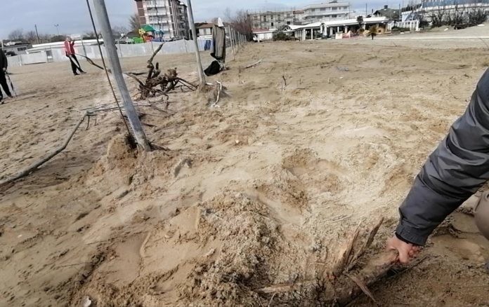 2022_04_03_radici tamerici Marina RA_Jovanotti