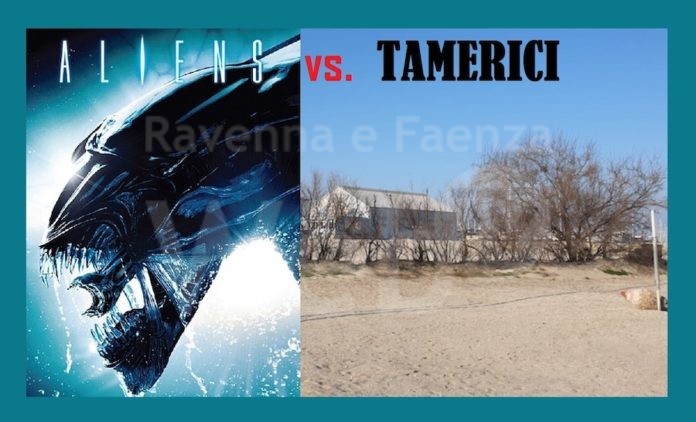 AliensvsTamerici