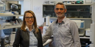 Due nuove “Stelle al Merito del Lavoro” al Gruppo Tampieri