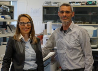 Due nuove “Stelle al Merito del Lavoro” al Gruppo Tampieri