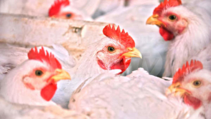 Depositphotos_126570128_xl-2015-e1530866505969-1280x720