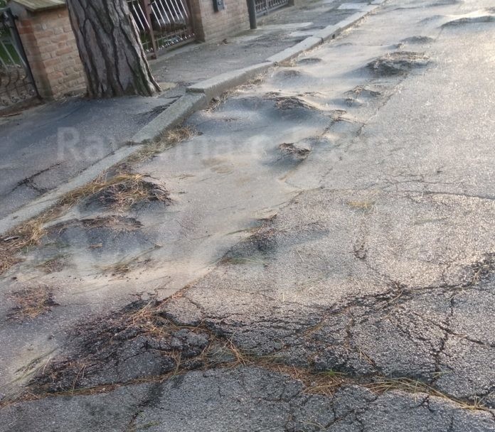 IMG_20220408_190952 (1)