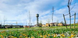 Sant’Agata sul Santerno: c’è tempo fino al 6 maggio per aderire al bando per food truck al Grande Parco Vatrenus