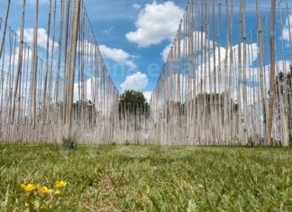 Ad Alfonsine il Mercatino Effimero e inaugura il Labirinto Sospeso