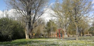 Voci dal mondo verde, all’Oasi del Loto una passeggiata e laboratorio di botanica creativa dedicato ai bambini