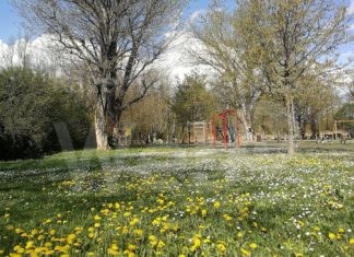 Voci dal mondo verde, all’Oasi del Loto una passeggiata e laboratorio di botanica creativa dedicato ai bambini
