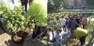 Riqualificazione del giardino dell’IC “Don Stefano Casadio” a Cotignola
