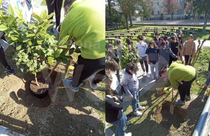 giardino cotignola scuola