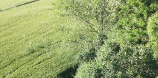 Conselice: inaugura «Waterways», il percorso delle vie dell’acqua tra natura e Land Art