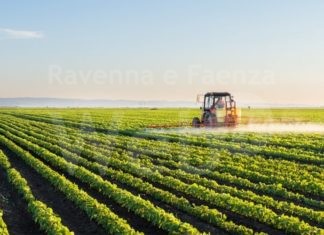 Primo bando per aziende agro-meccaniche: un milione di euro per l’acquisto di macchinari e attrezzature