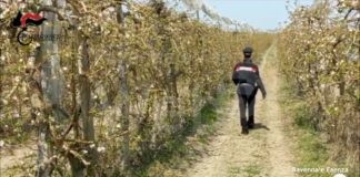 Una rete territoriale contro lo sfruttamento lavorativo: percorso formativo per migliorare contrasto a illegalità